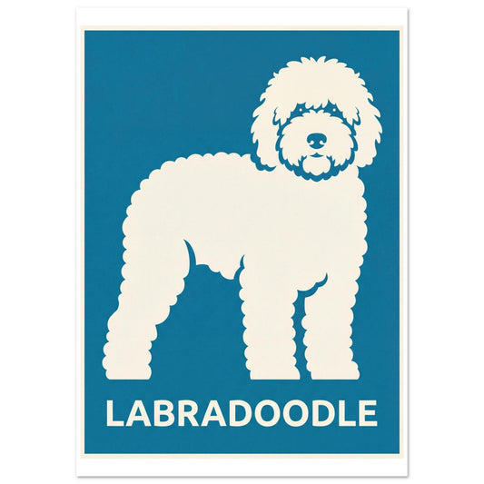 9b1ab33e-355e-4ed9-be32-078ab10f20ed